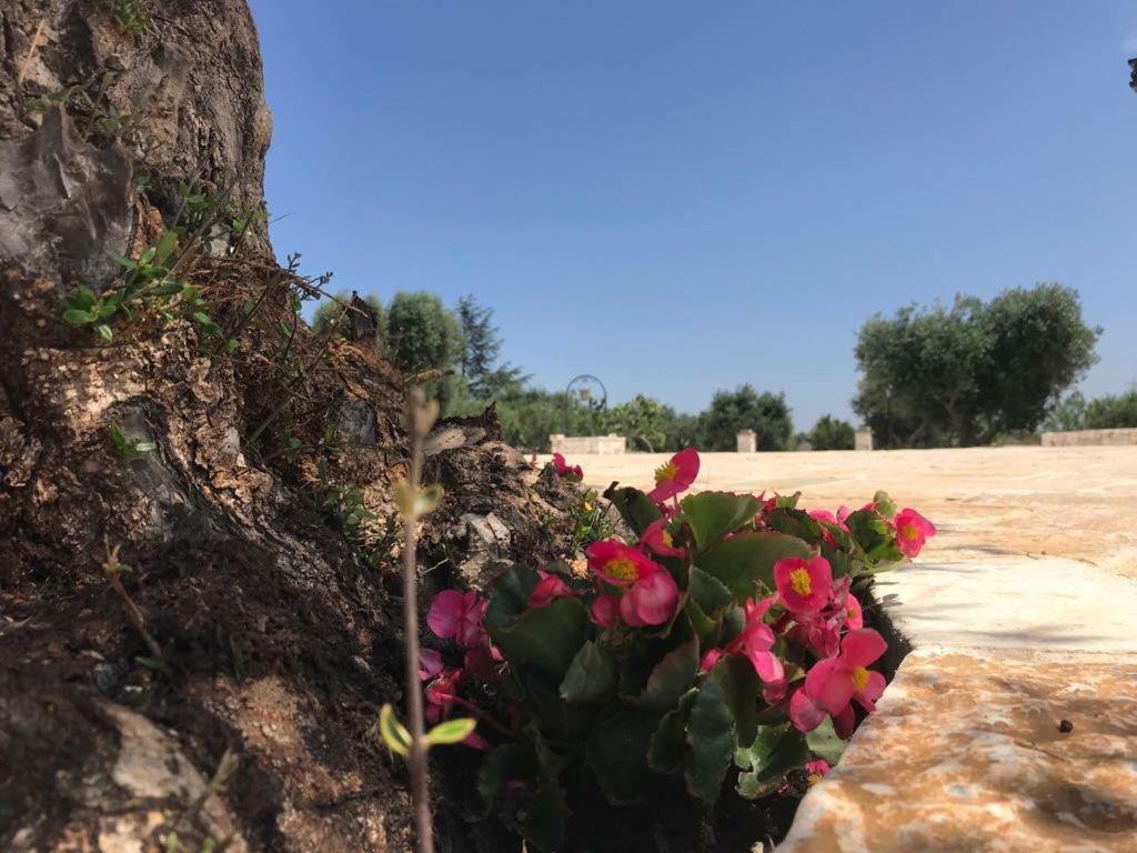 Trulli Da Lalli Ostuni Exteriör bild